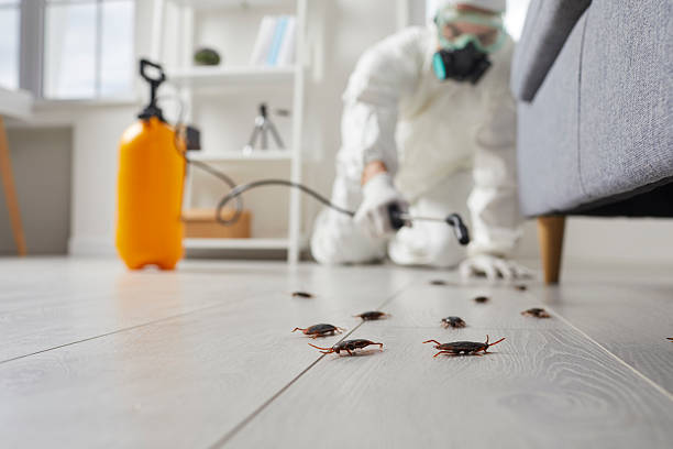 Commercial Kitchen Cockroach Control in Elk Point
